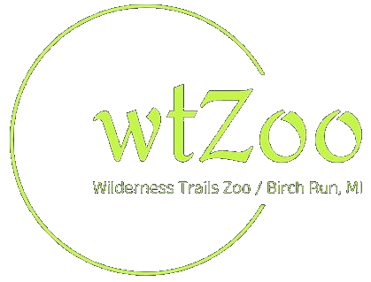 Wilderness Trails Zoo